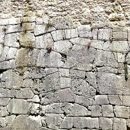 Le Contrade * أميليا