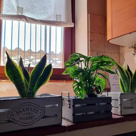 بيت للعطل Le Contrade