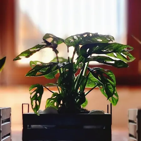 بيت للعطل Le Contrade *