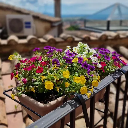 Le Contrade * أميليا