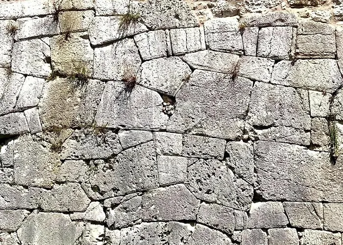 Le Contrade * Amelia