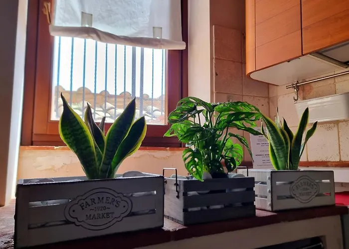 بيت للعطل Le Contrade